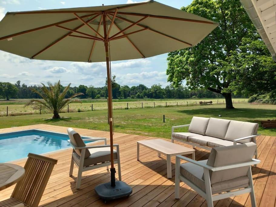 Maison Neuve Avec Piscine Chauffee, 4 Kms De Contis Plage Saint-Julien-en-Born Esterno foto