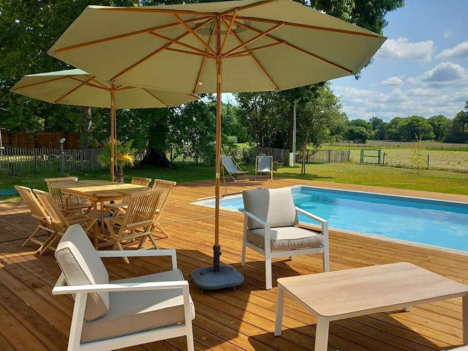 Maison Neuve Avec Piscine Chauffee, 4 Kms De Contis Plage Saint-Julien-en-Born Esterno foto